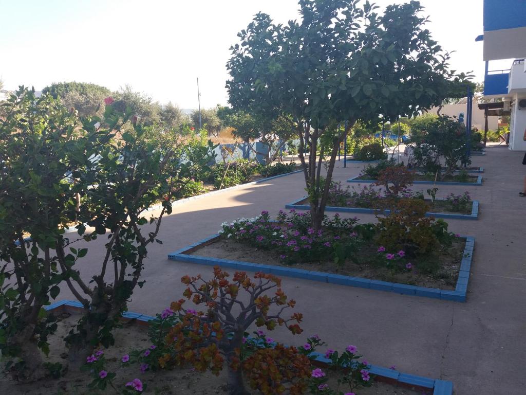Maritsa Studios