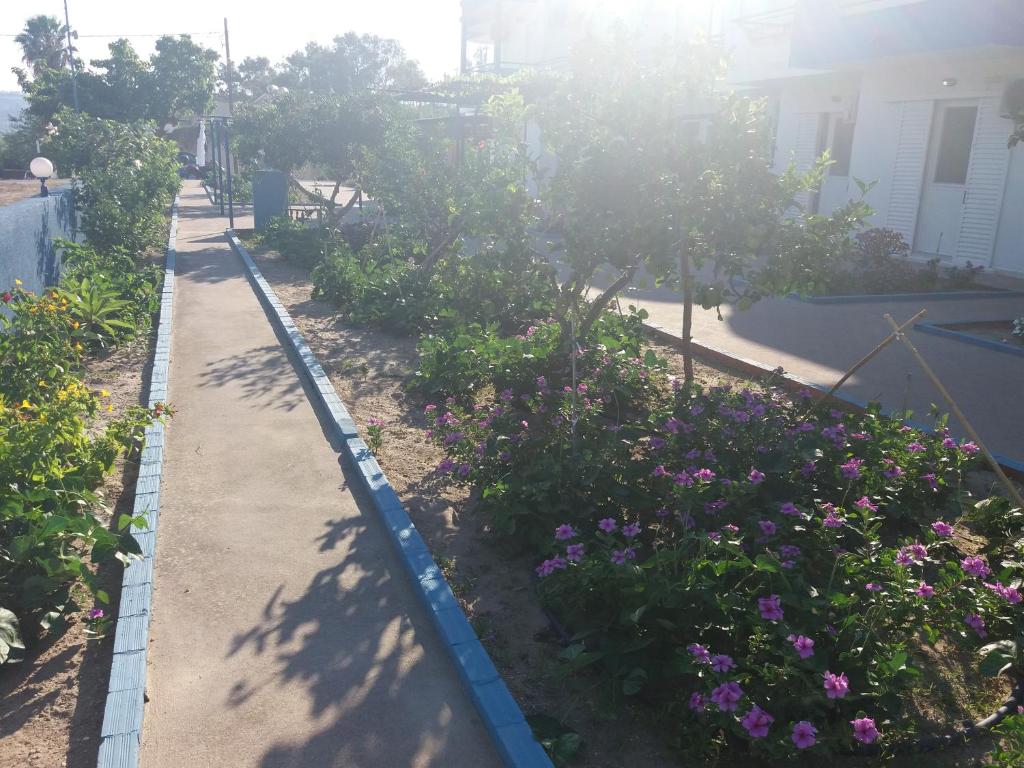 Maritsa Studios